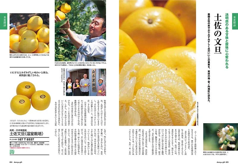 カタログギフト/ダンチュウ 全5種類 4