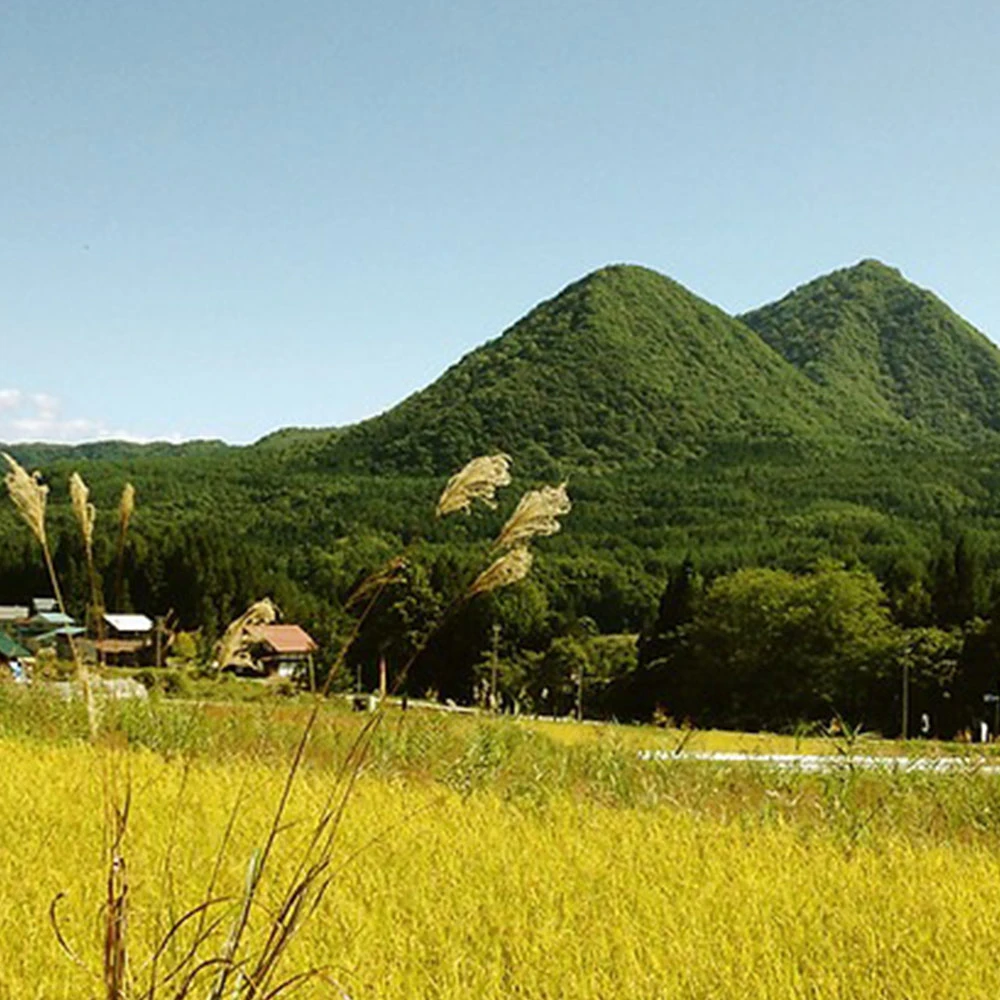 恐竜のつみき / ディノ［マストロ・ジェッペット］ 6