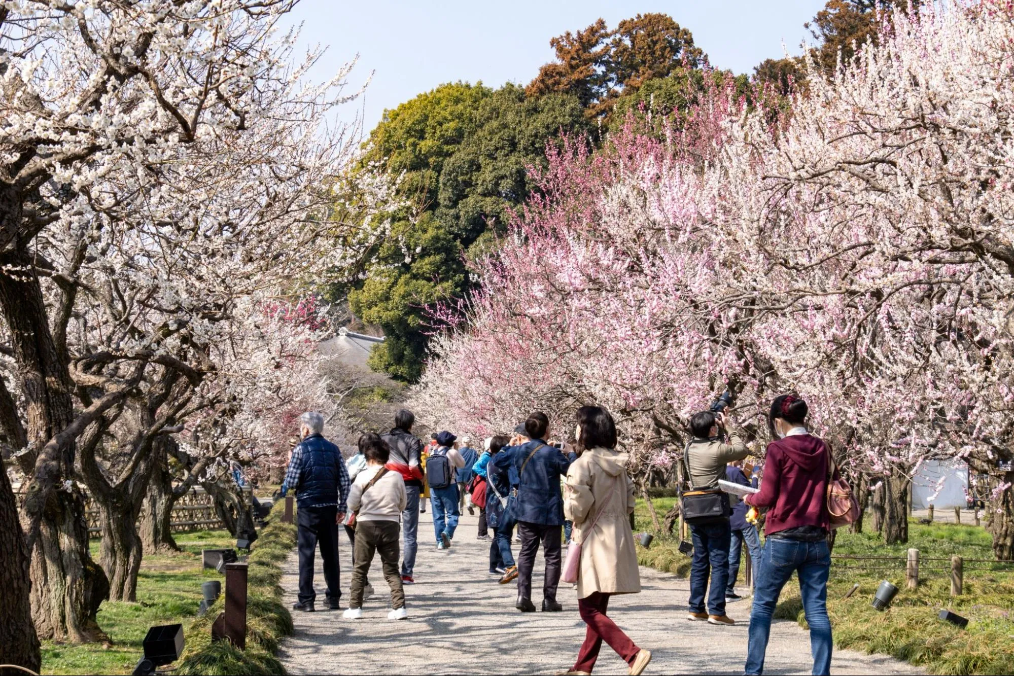 水戸市の文化的風景
