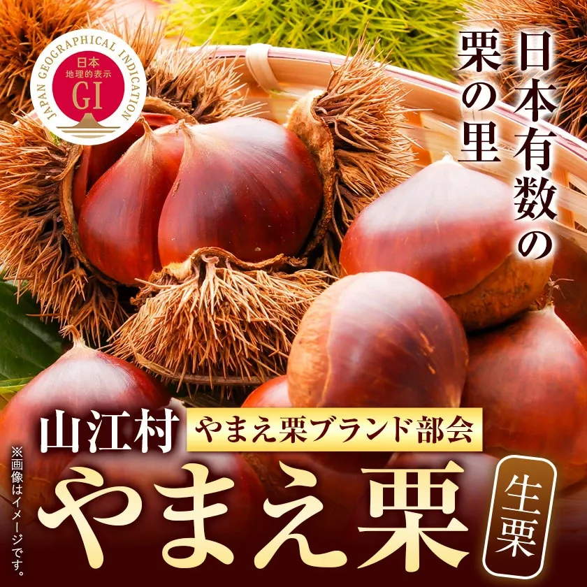 やまえ栗 利平3kg入の画像