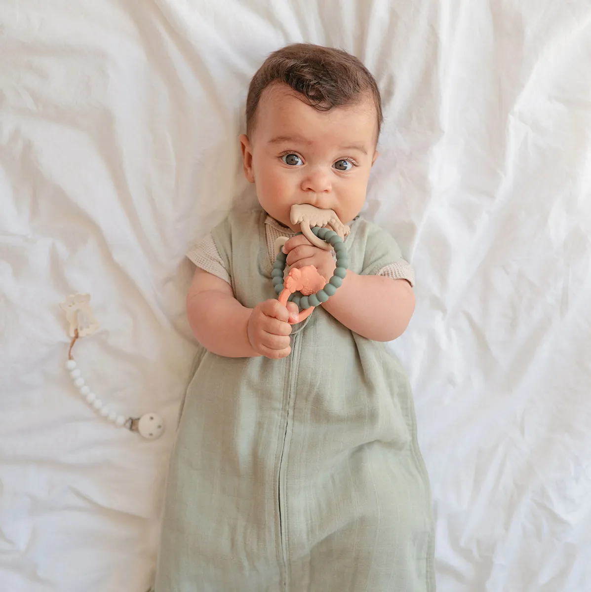 ティーシングリング / Dino［ムシエ］