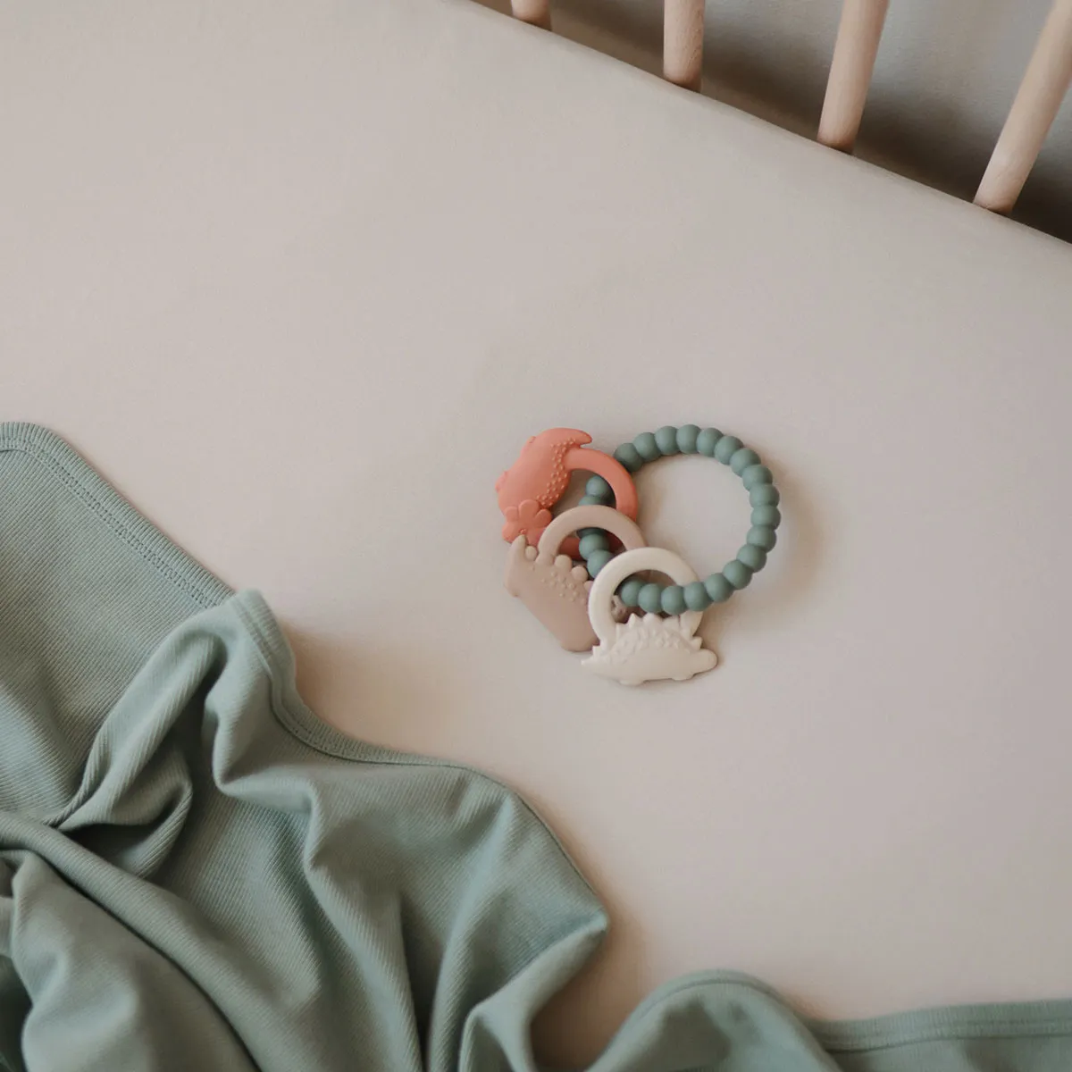 ティーシングリング / Dino［ムシエ］ 6