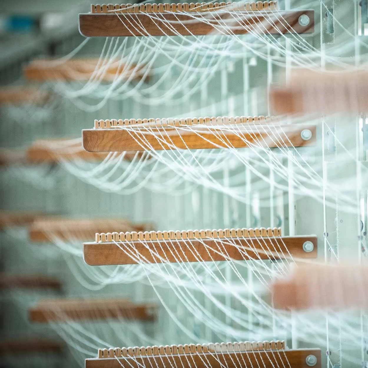 WELLNESS DAY BOX / 折りたたみタンブラー+タオル 10