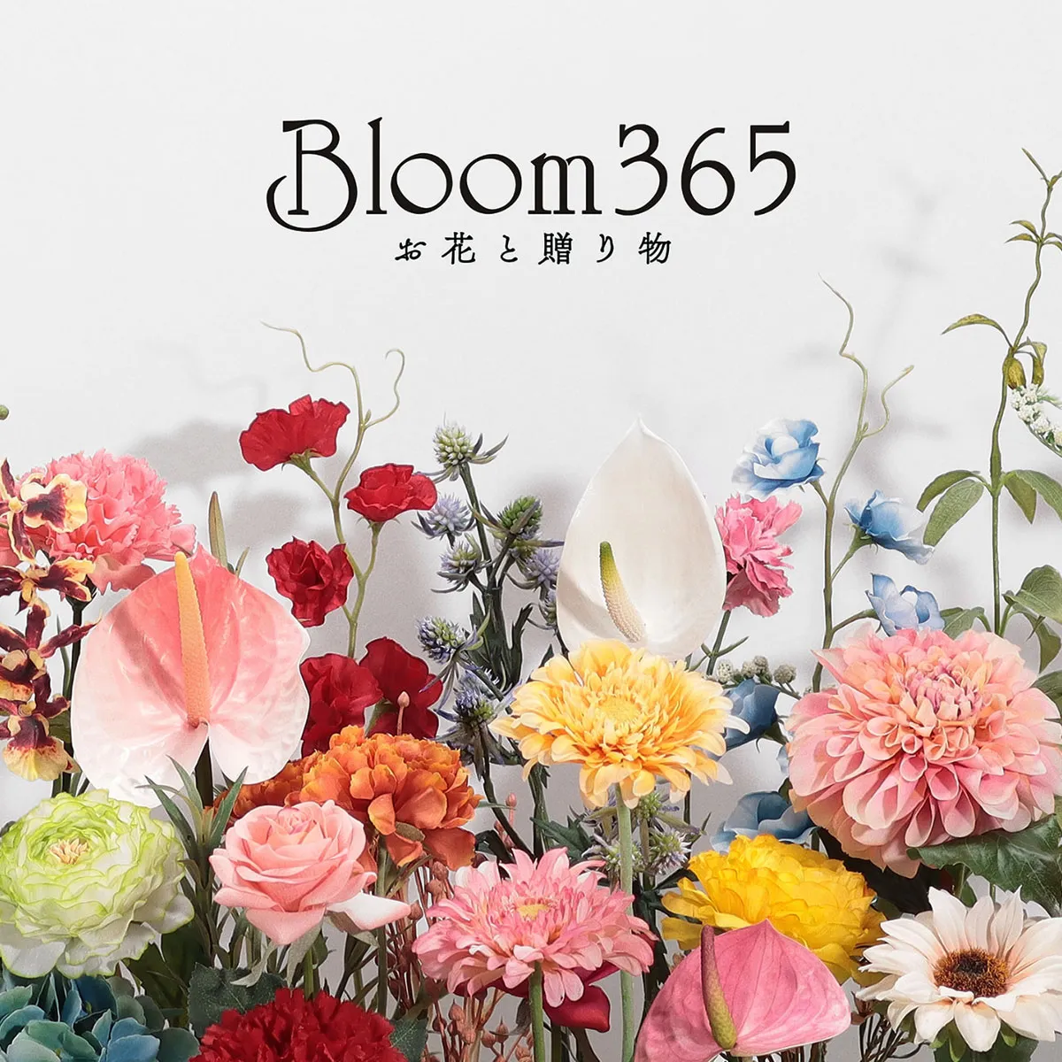 【母の日限定】Bloom365 / カーネーション＋選べるギフト / ピンク 3