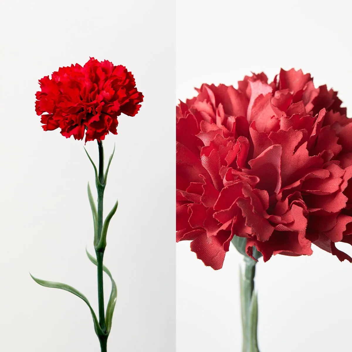 【母の日限定】Bloom365 / カーネーション＋選べるギフト / レッド 4