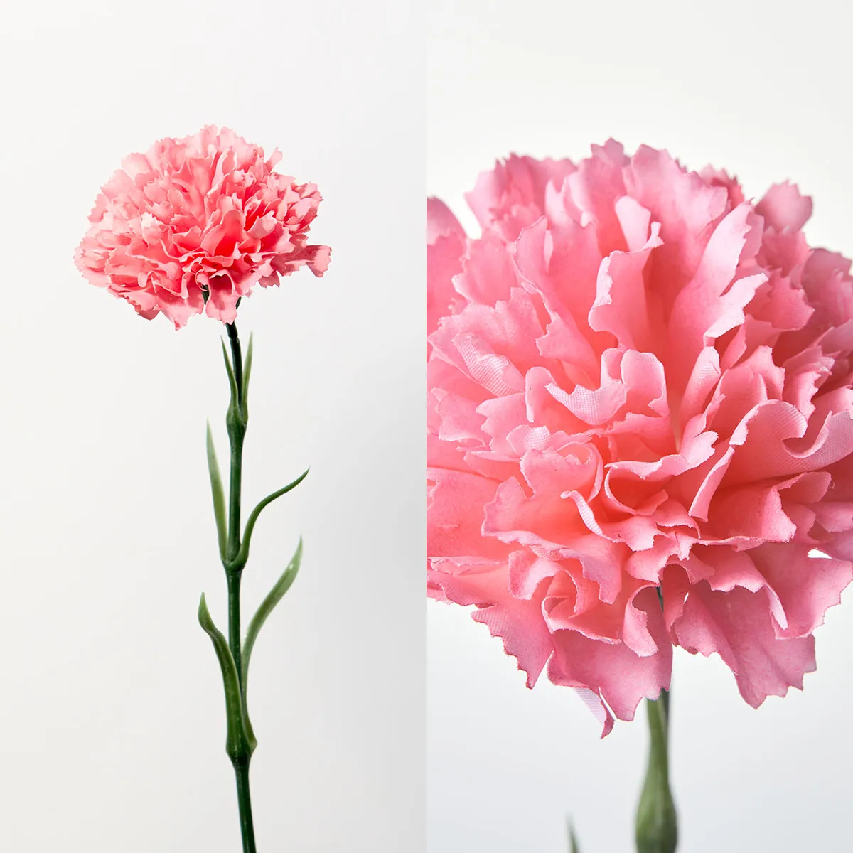 【母の日限定】Bloom365 / カーネーション＋選べるギフト / ピンク 4