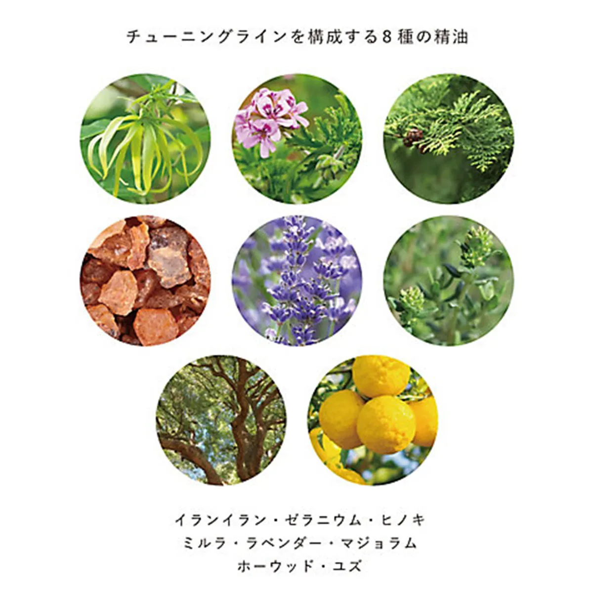 SELF CARE BOX / OSAJI ハンドソープ+フェイスタオル2枚 6